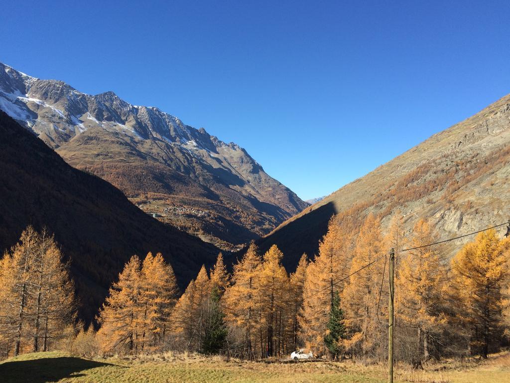Apartamento Haus Alpenstern Saas-Grund Exterior foto